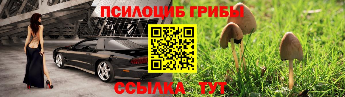 Минусинск  Псилоцибиновые грибы MAGIC MUSHROOMS  Вход с VPN 